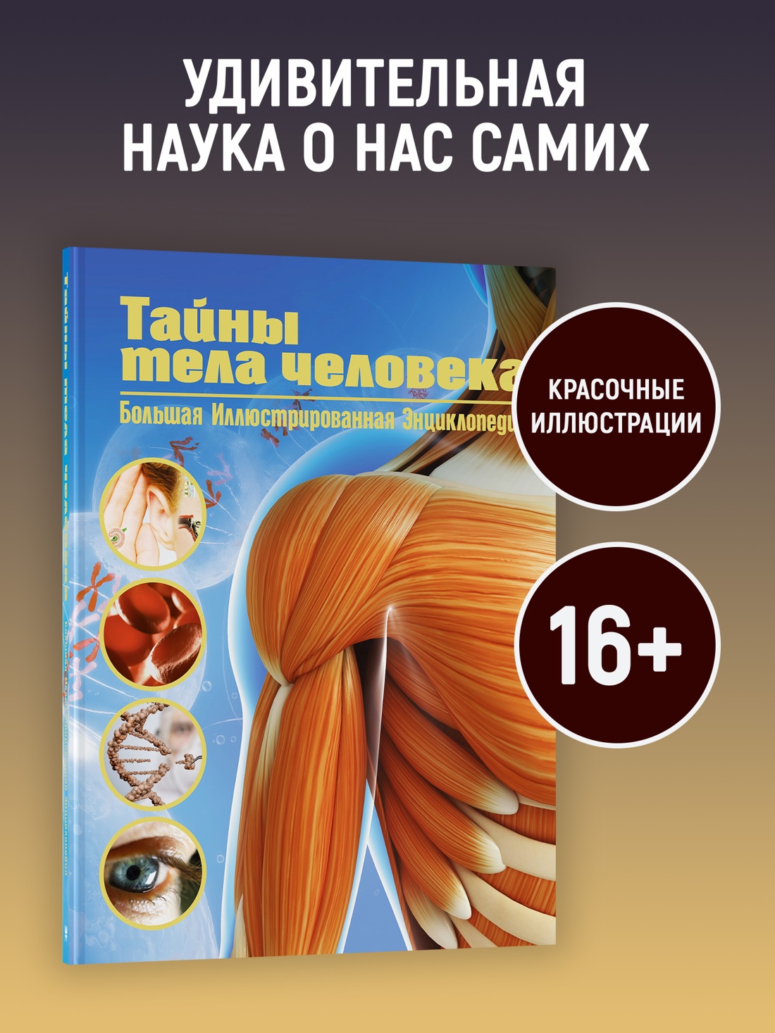 Промо материал к книге "Тайны тела человека. Большая иллюстрированная энциклопедия" №0