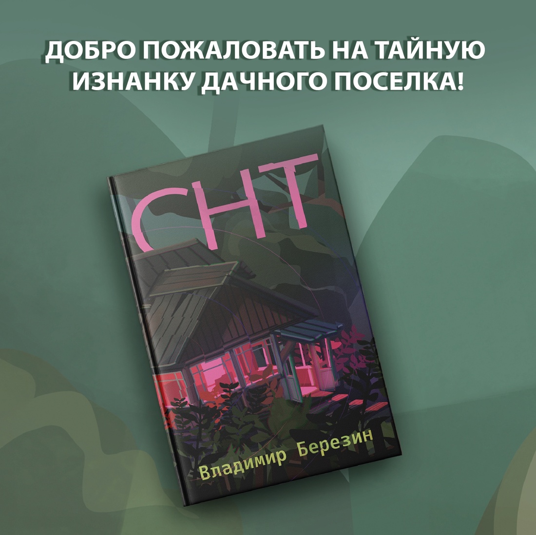 Промо материал к книге "СНТ" №0