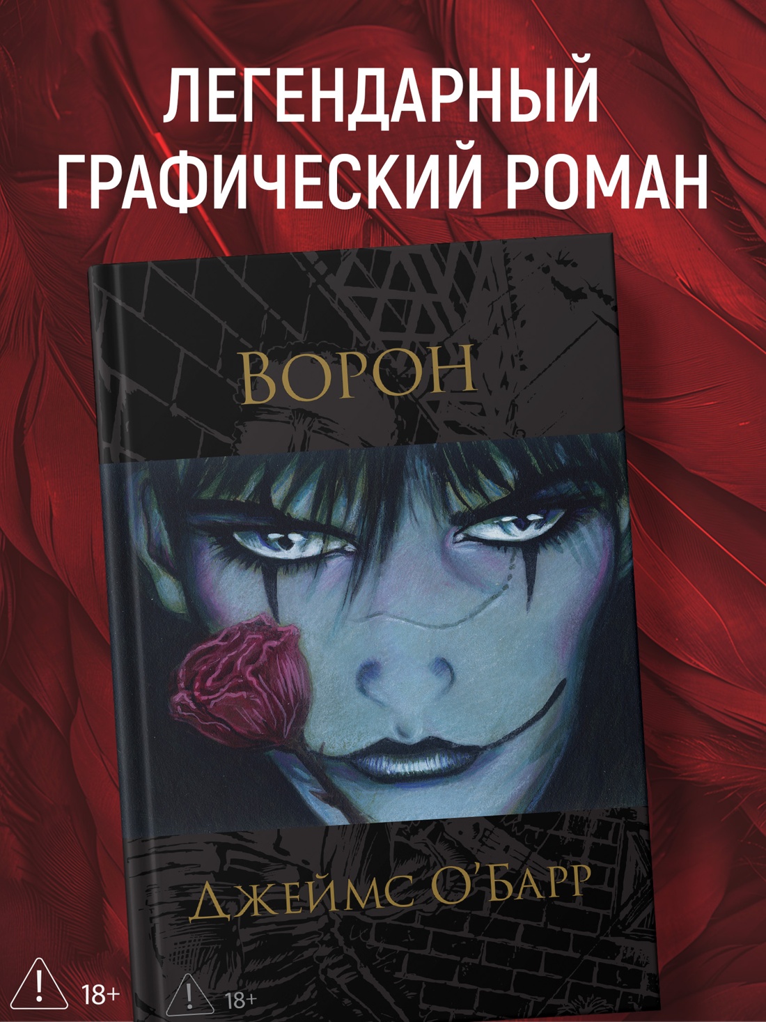 Промо материал к книге "Ворон (илл)" №0