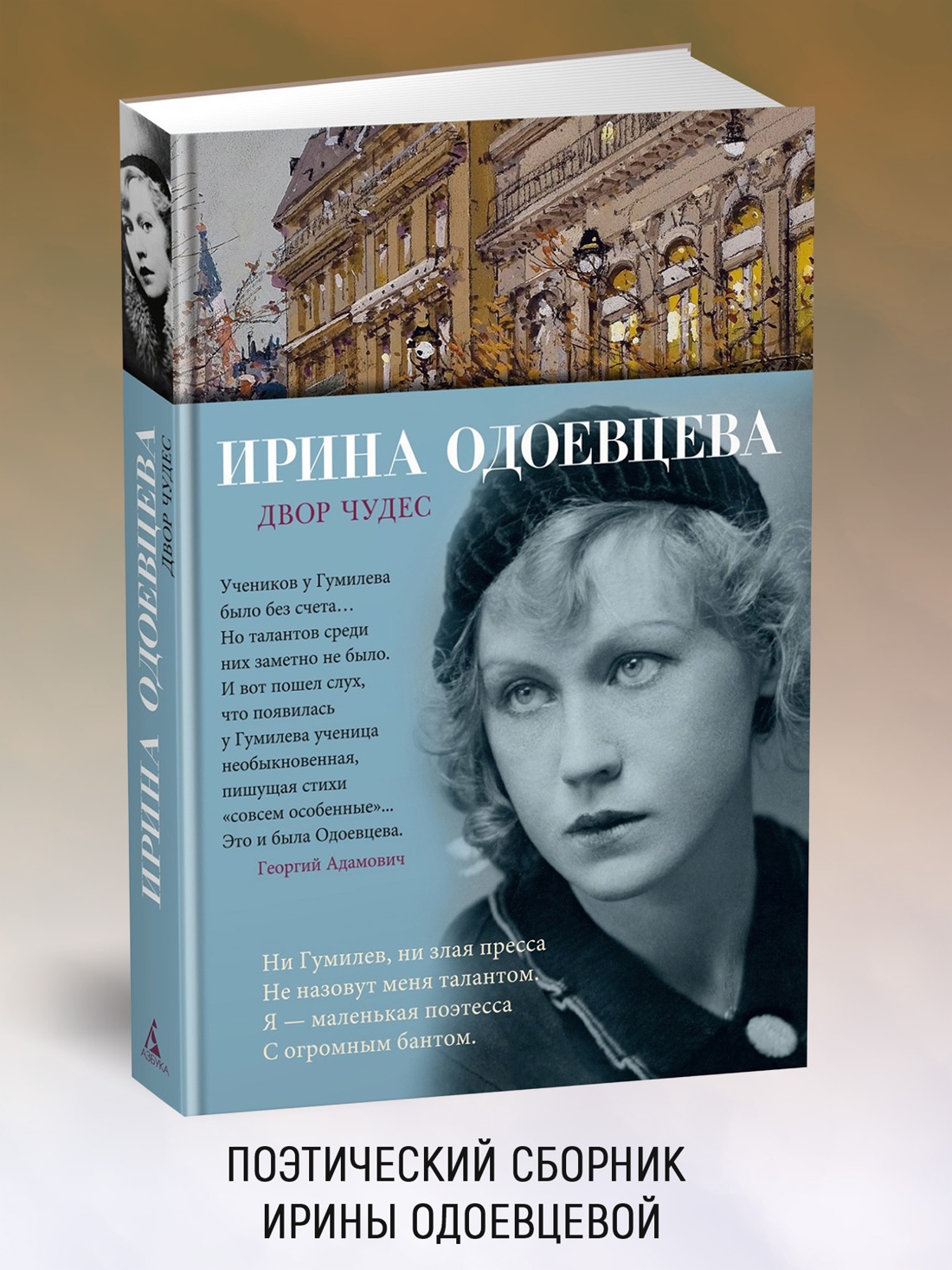 Промо материал к книге "Двор чудес" №0