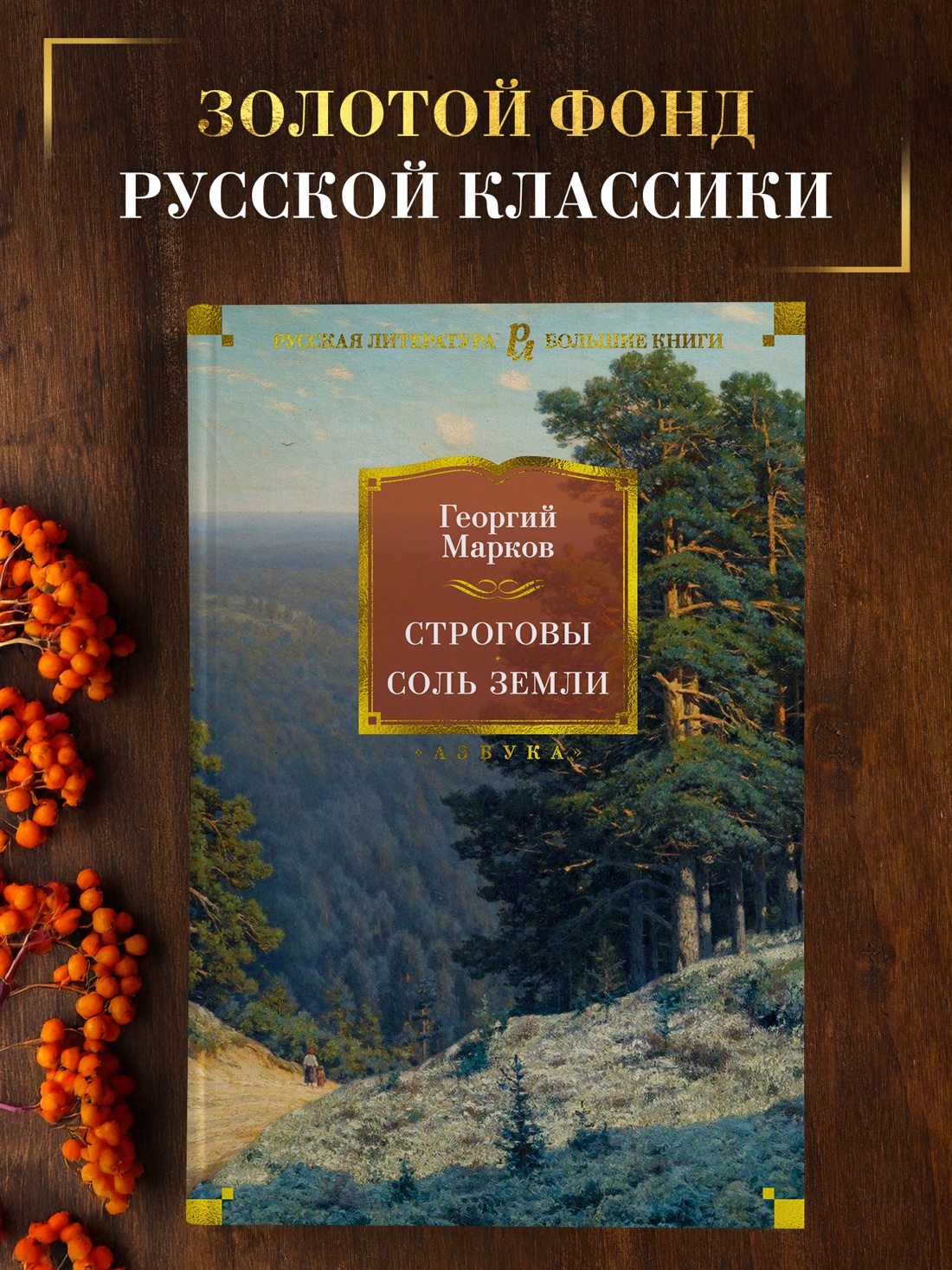 Промо материал к книге "Строговы. Соль земли" №0