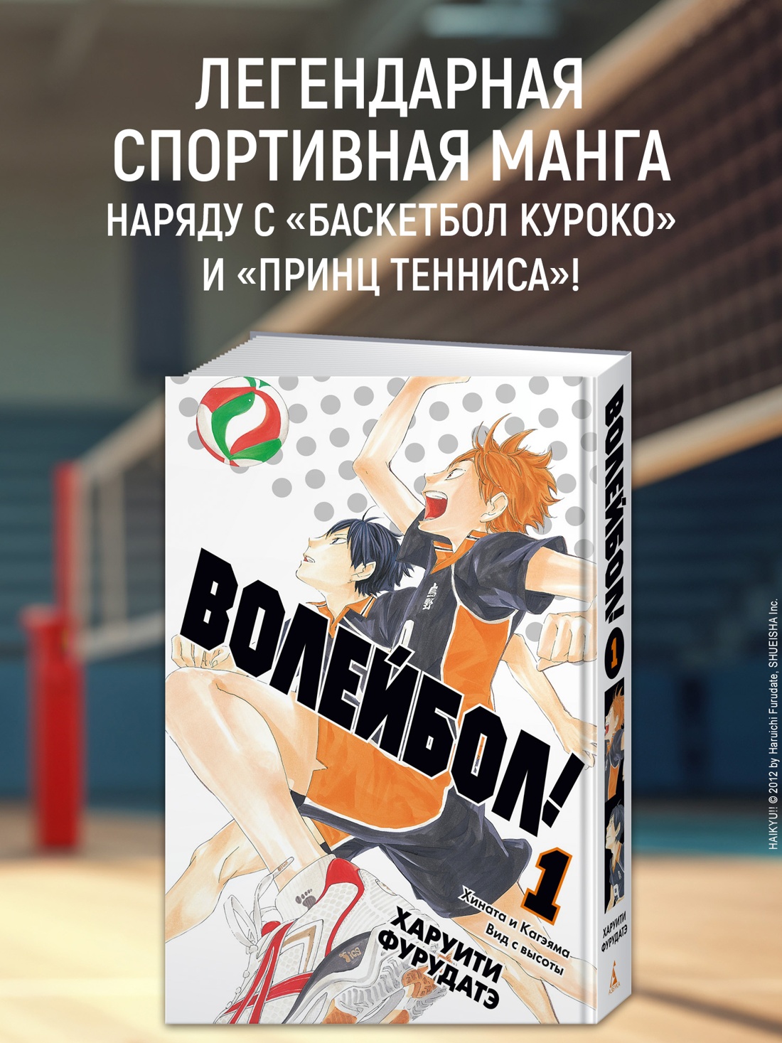 Промо материал к книге "Волейбол! Книга 1. Хината и Кагэяма. Вид с высоты" №0