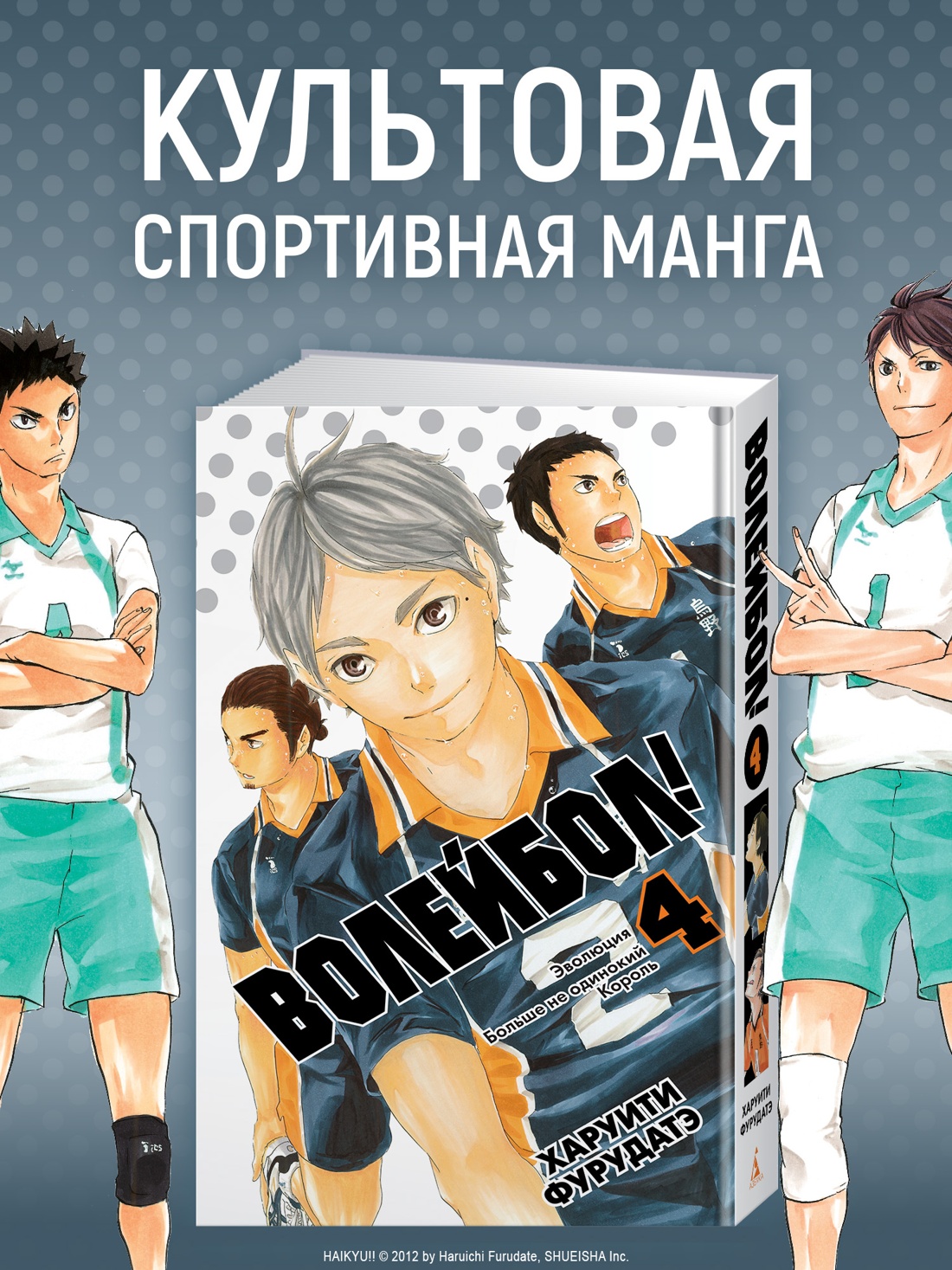 Промо материал к книге "Волейбол! Книга 4. Эволюция. Больше не одинокий Король" №0