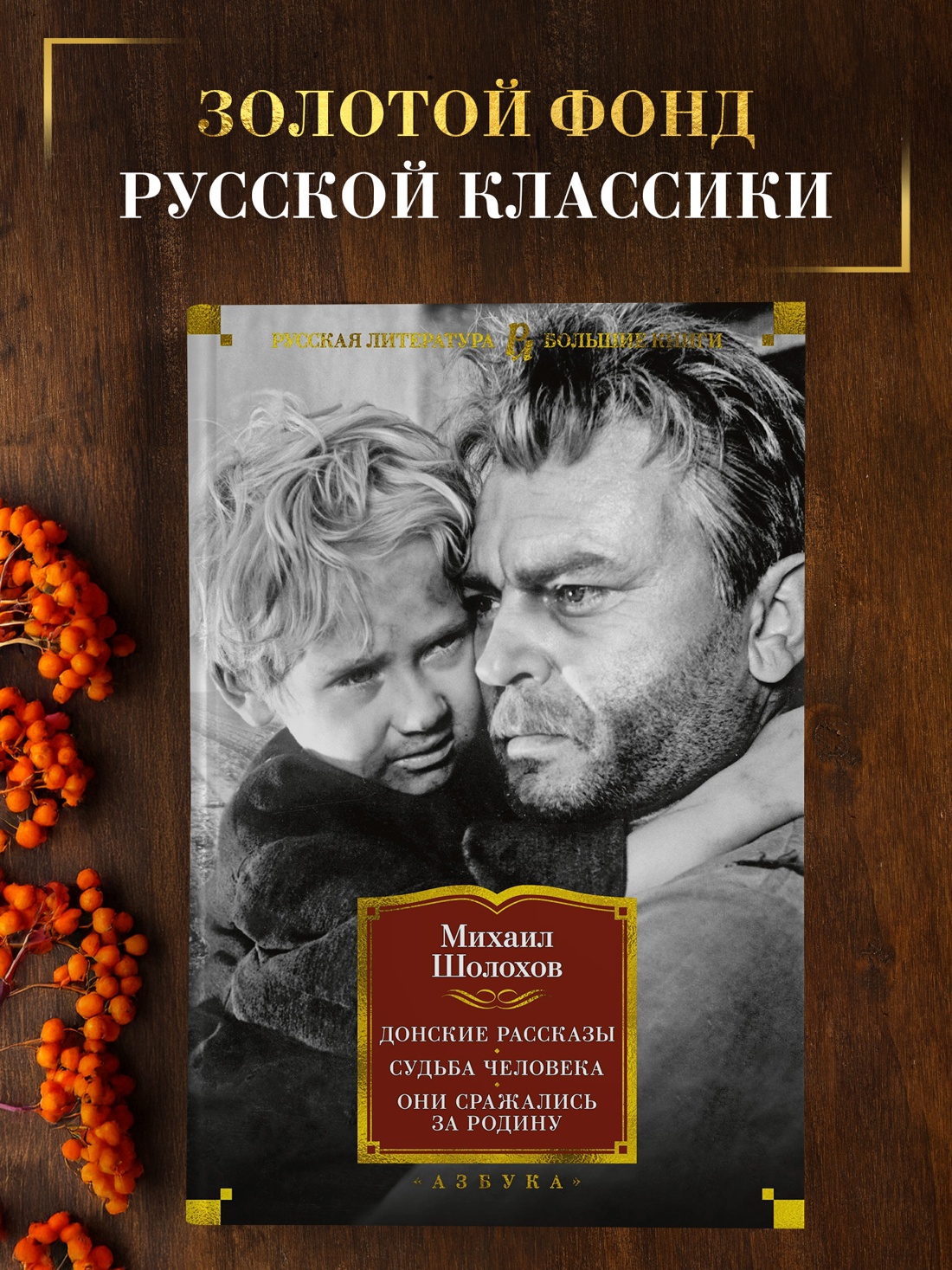 Промо материал к книге "Донские рассказы. Судьба человека. Они сражались за Родину" №0