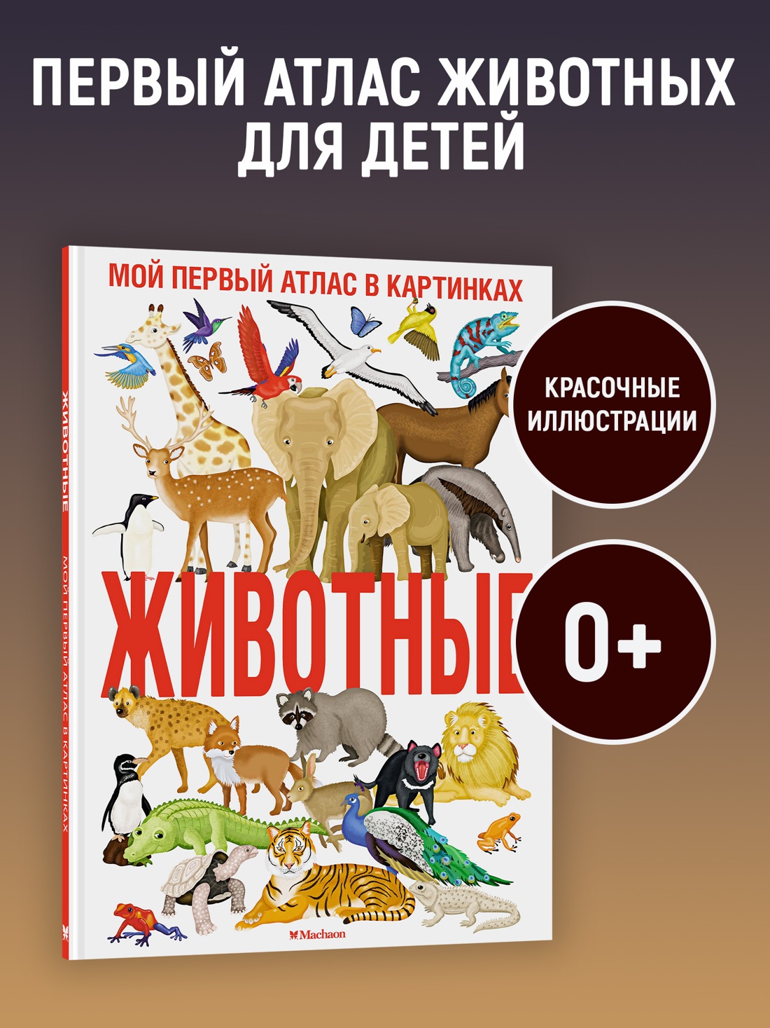 Промо материал к книге "Животные. Мой первый атлас в картинках" №0