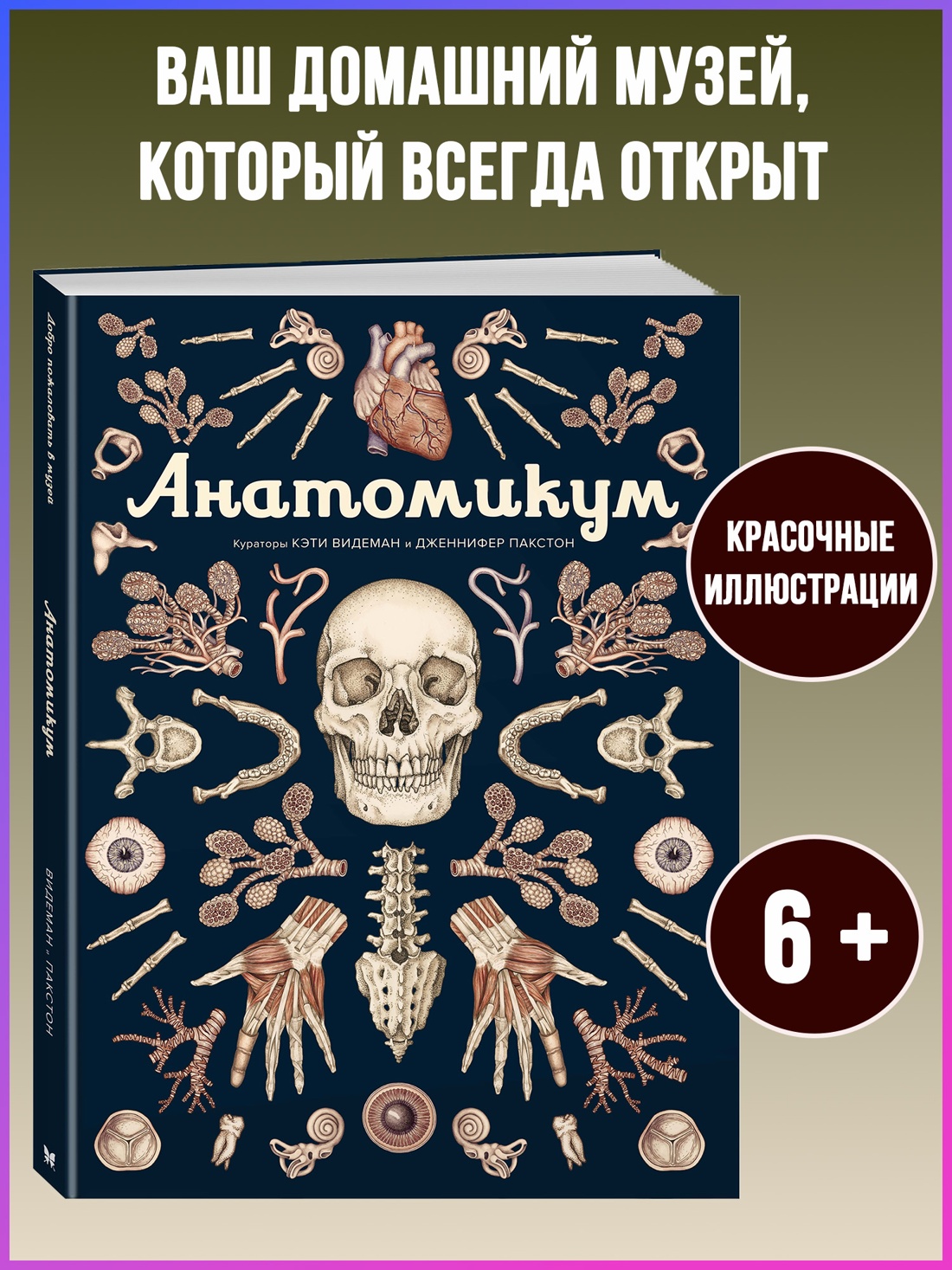 Промо материал к книге "Анатомикум" №0