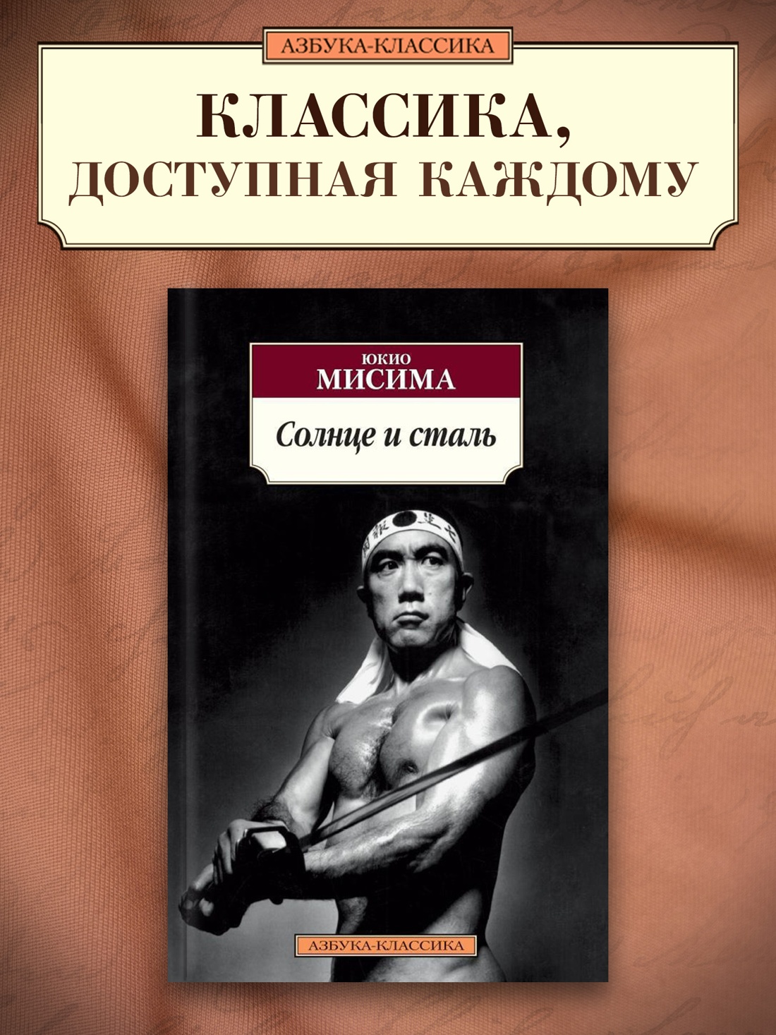 Промо материал к книге "Солнце и сталь" №0