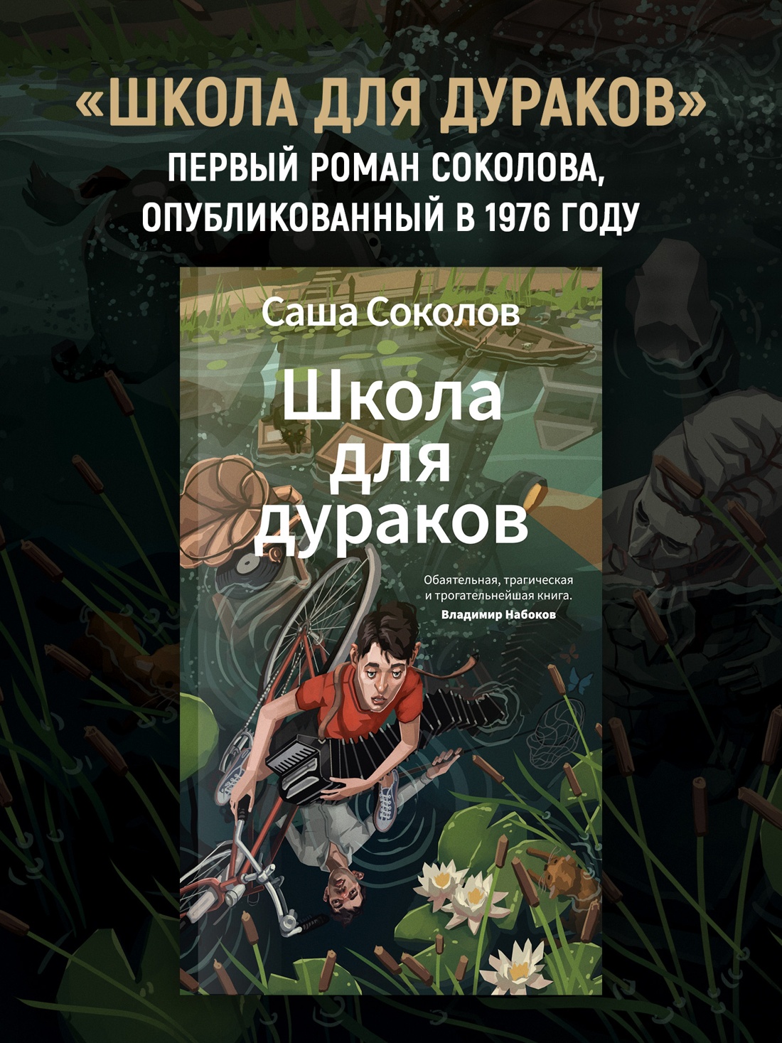 Промо материал к книге "Школа для дураков" №0