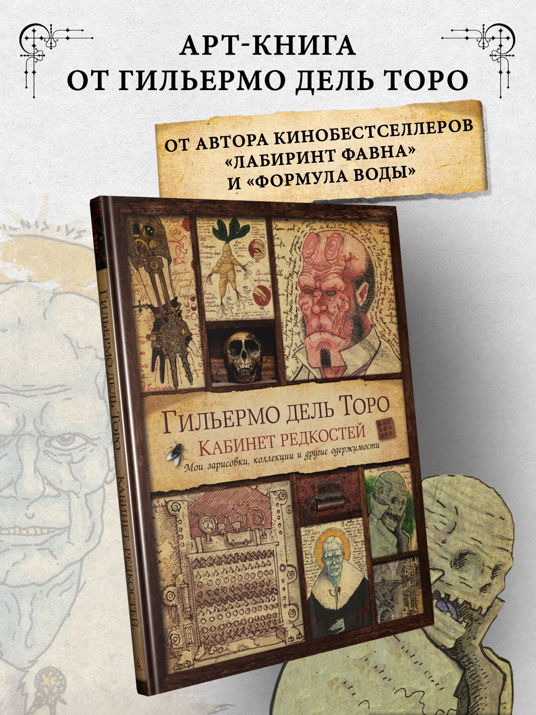 Промо материал к книге "Кабинет редкостей. Мои зарисовки, коллекции и другие одержимости" №0