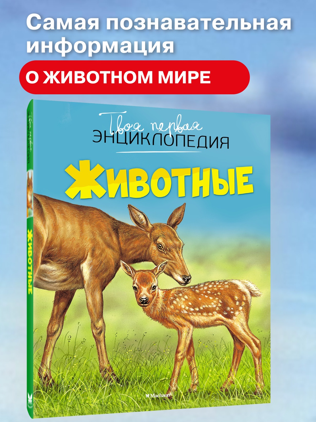 Промо материал к книге "Животные (илл. Бернар Алюни и др.)" №0