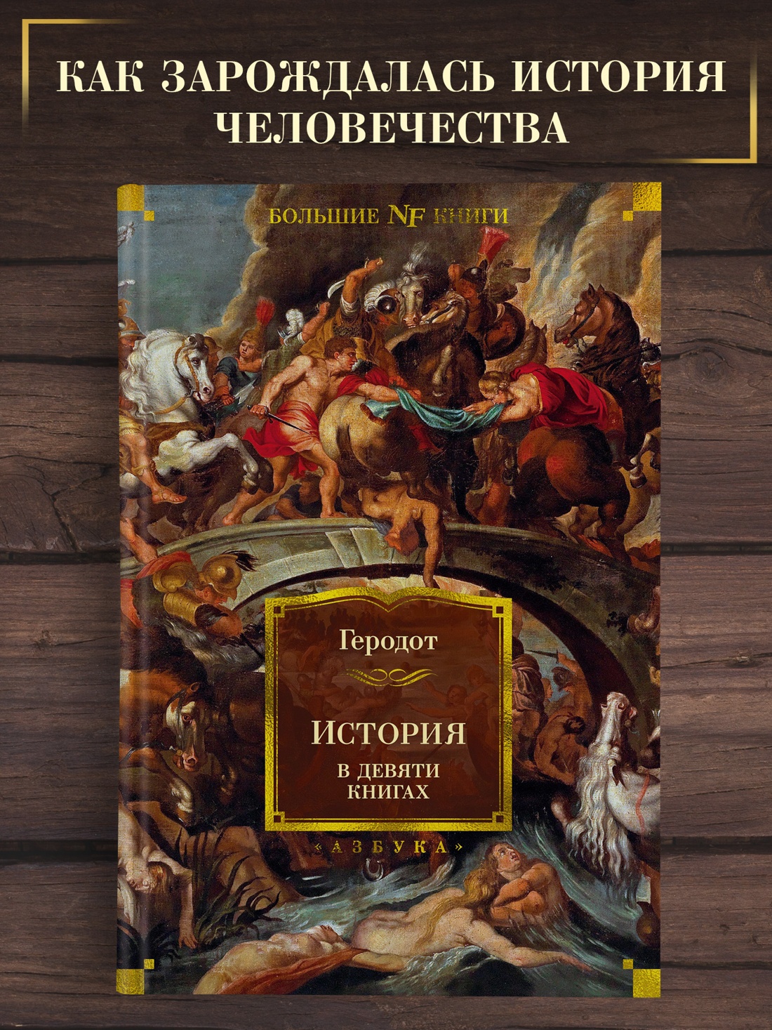 Промо материал к книге "История в девяти книгах" №0