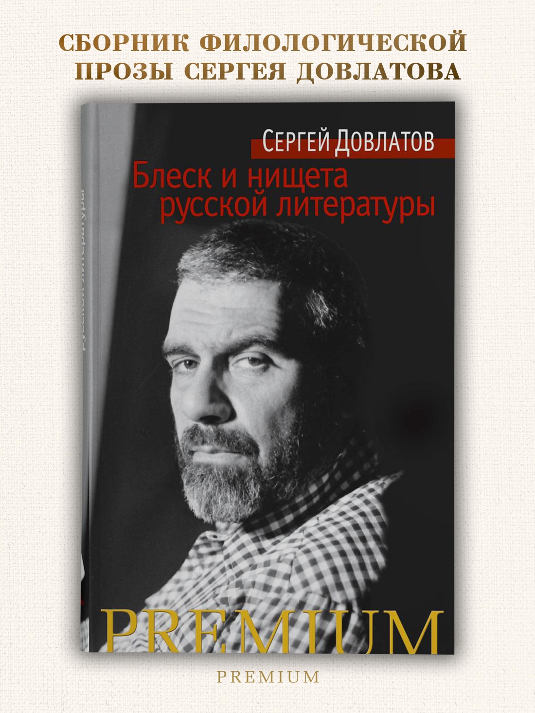 Промо материал к книге "Блеск и нищета русской литературы (Азбука Premium (мини))" №0