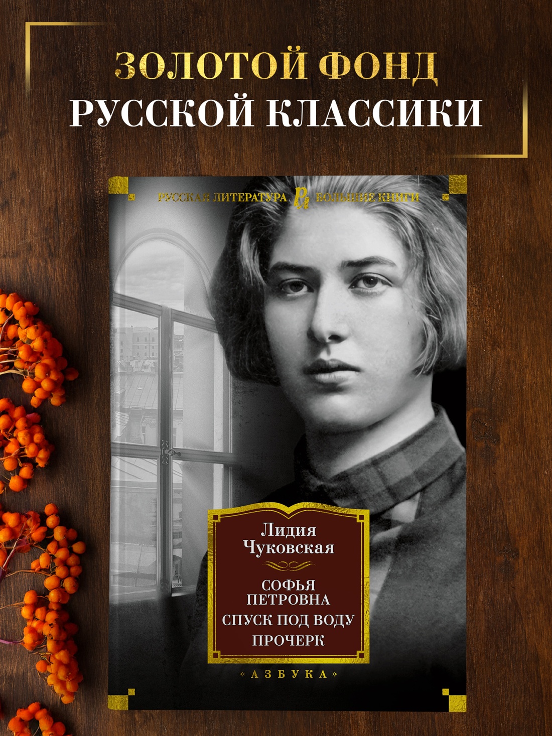 Промо материал к книге "Софья Петровна. Спуск под воду. Прочерк" №0