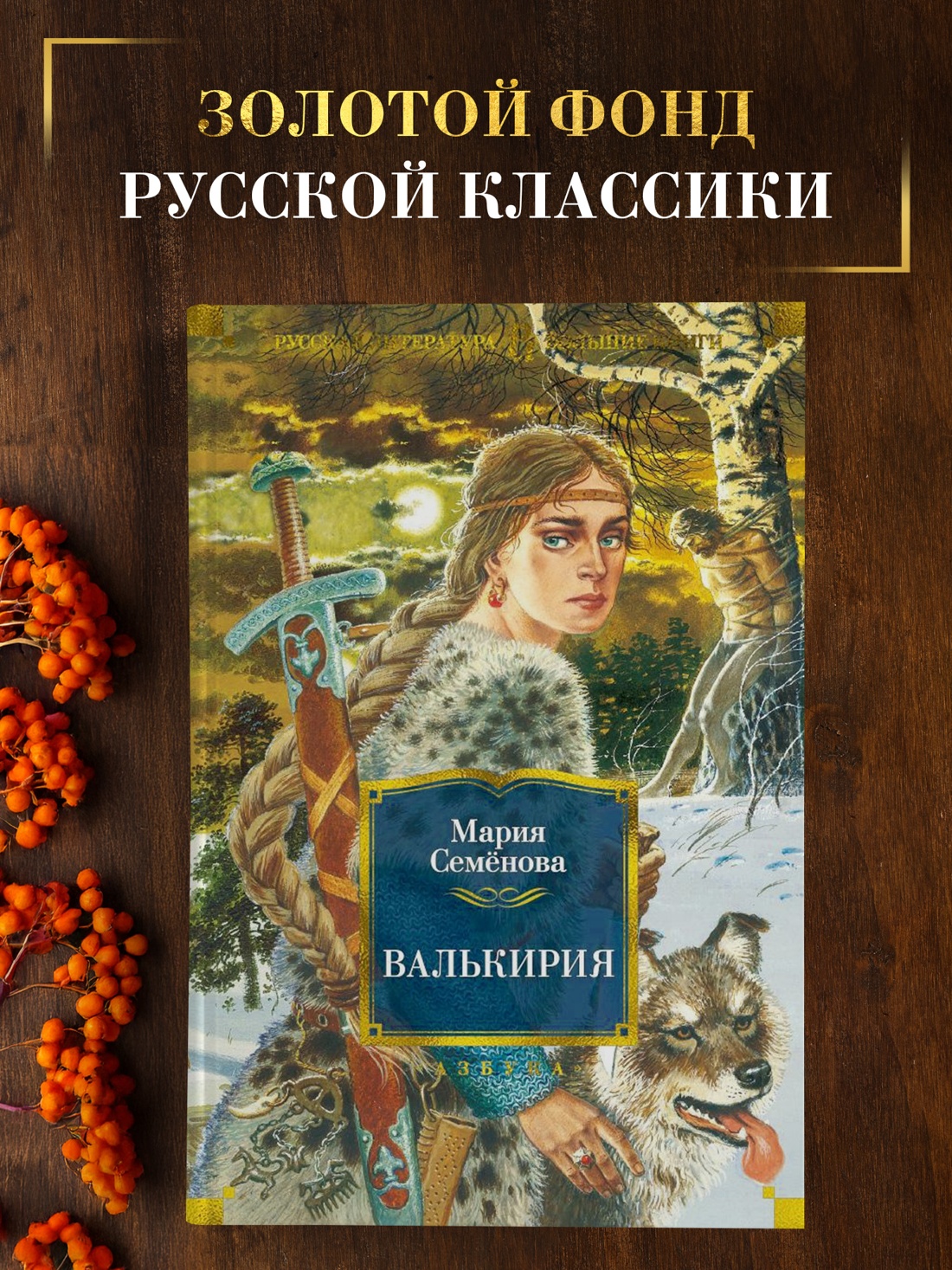 Промо материал к книге "Валькирия" №0