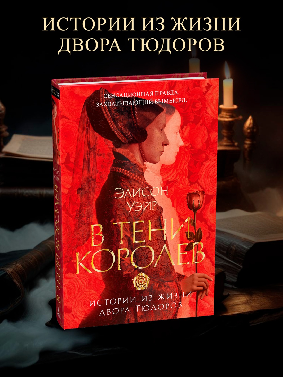 Промо материал к книге "В тени королев: истории из жизни двора Тюдоров" №0