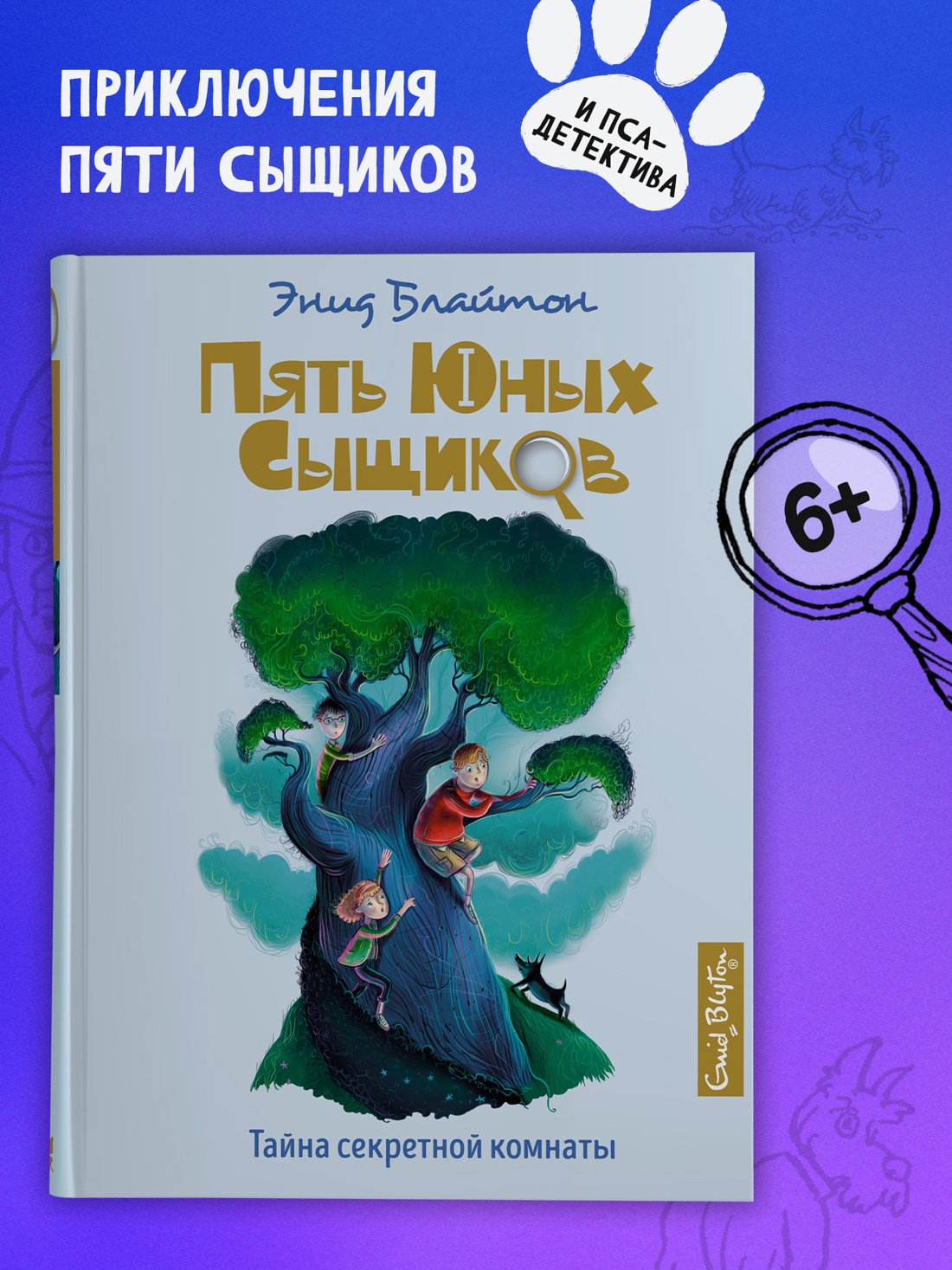 Промо материал к книге "Тайна секретной комнаты" №0