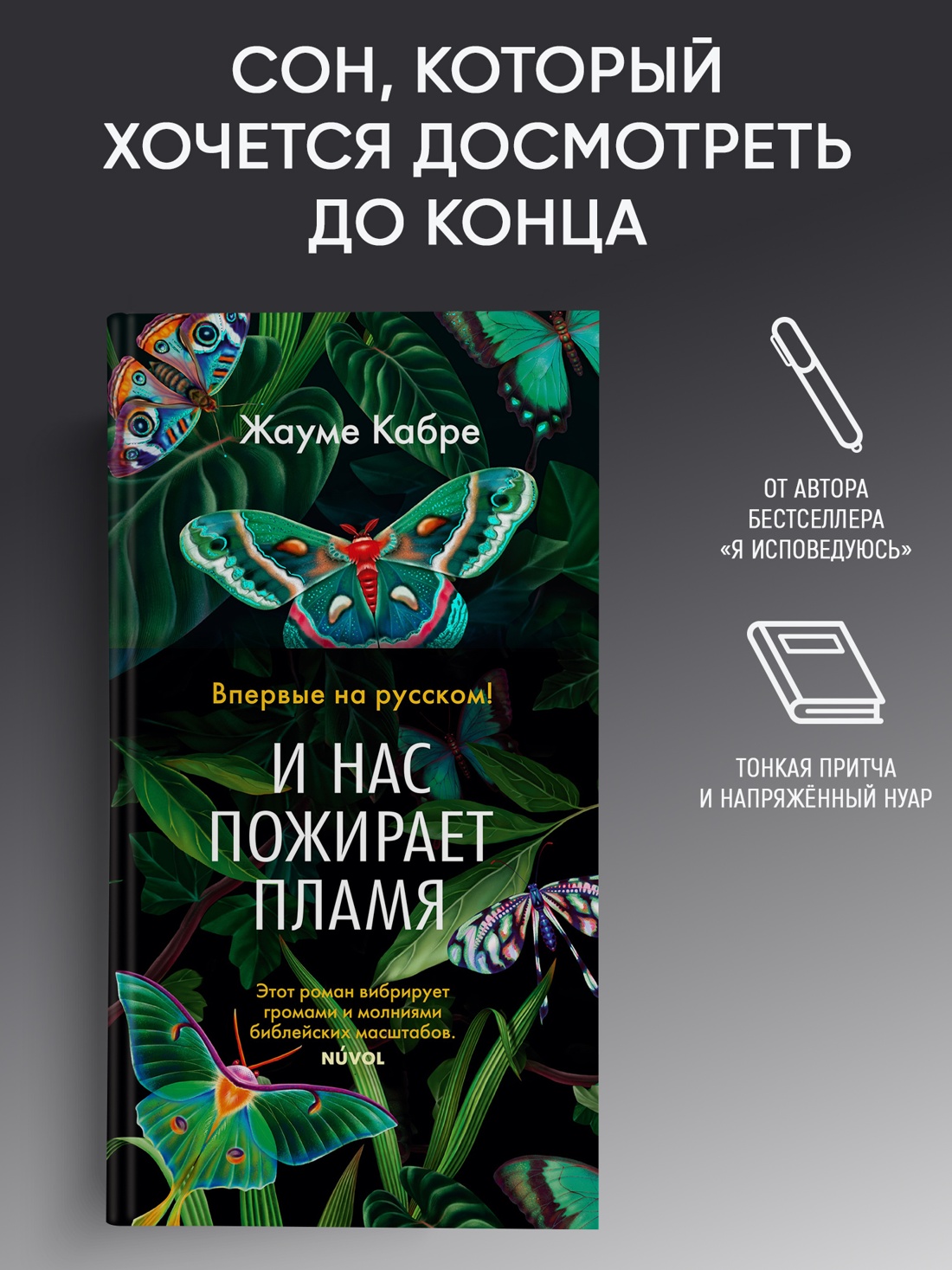 Промо материал к книге "И нас пожирает пламя" №0