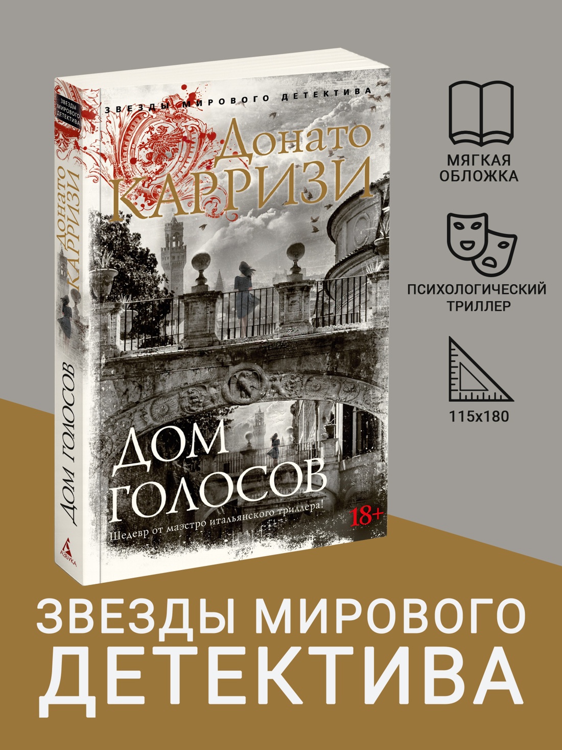 Промо материал к книге "Дом голосов (мягкая обложка)" №0