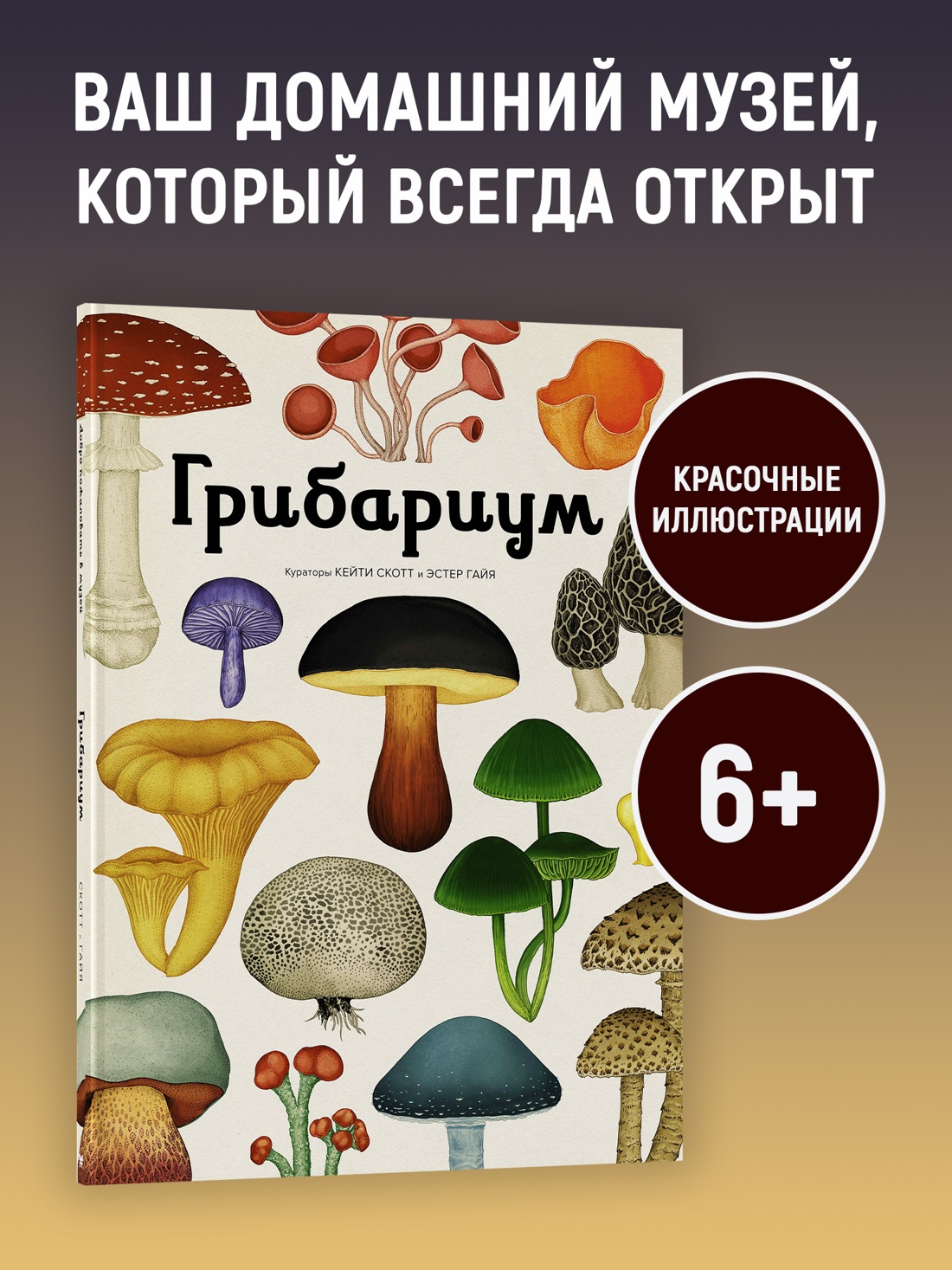 Промо материал к книге "Грибариум" №0