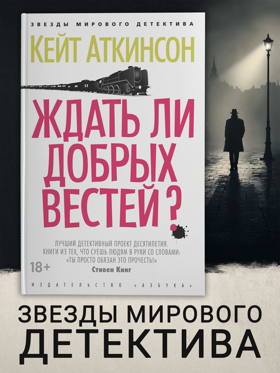 Промо материал к книге "Ждать ли добрых вестей? (архив)" №0