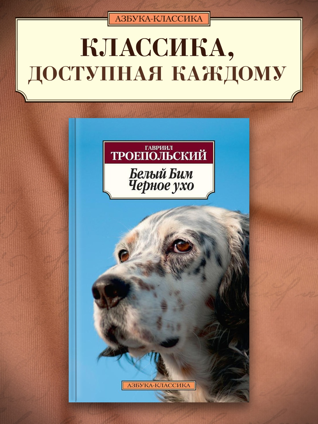 Промо материал к книге "Белый Бим Черное ухо" №0