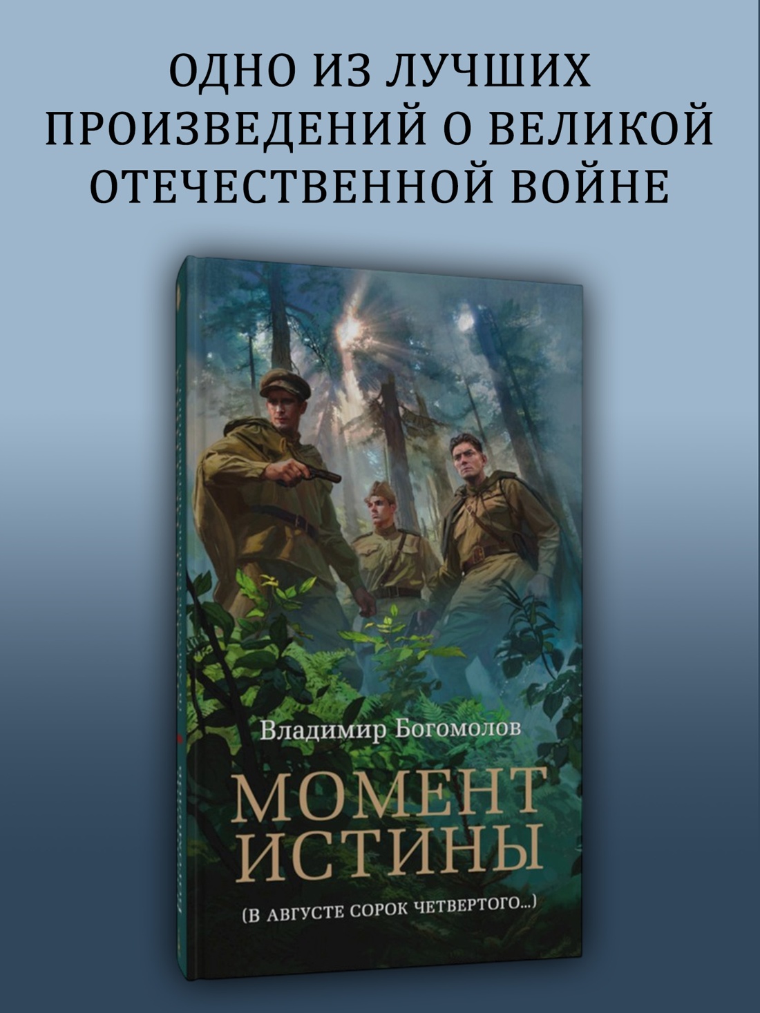 Промо материал к книге "Момент истины" №0