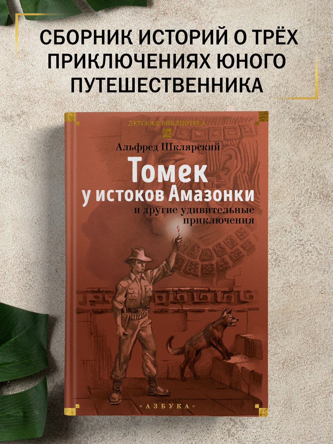 Промо материал к книге "«Томек у истоков Амазонки» и другие удивительные приключения" №0