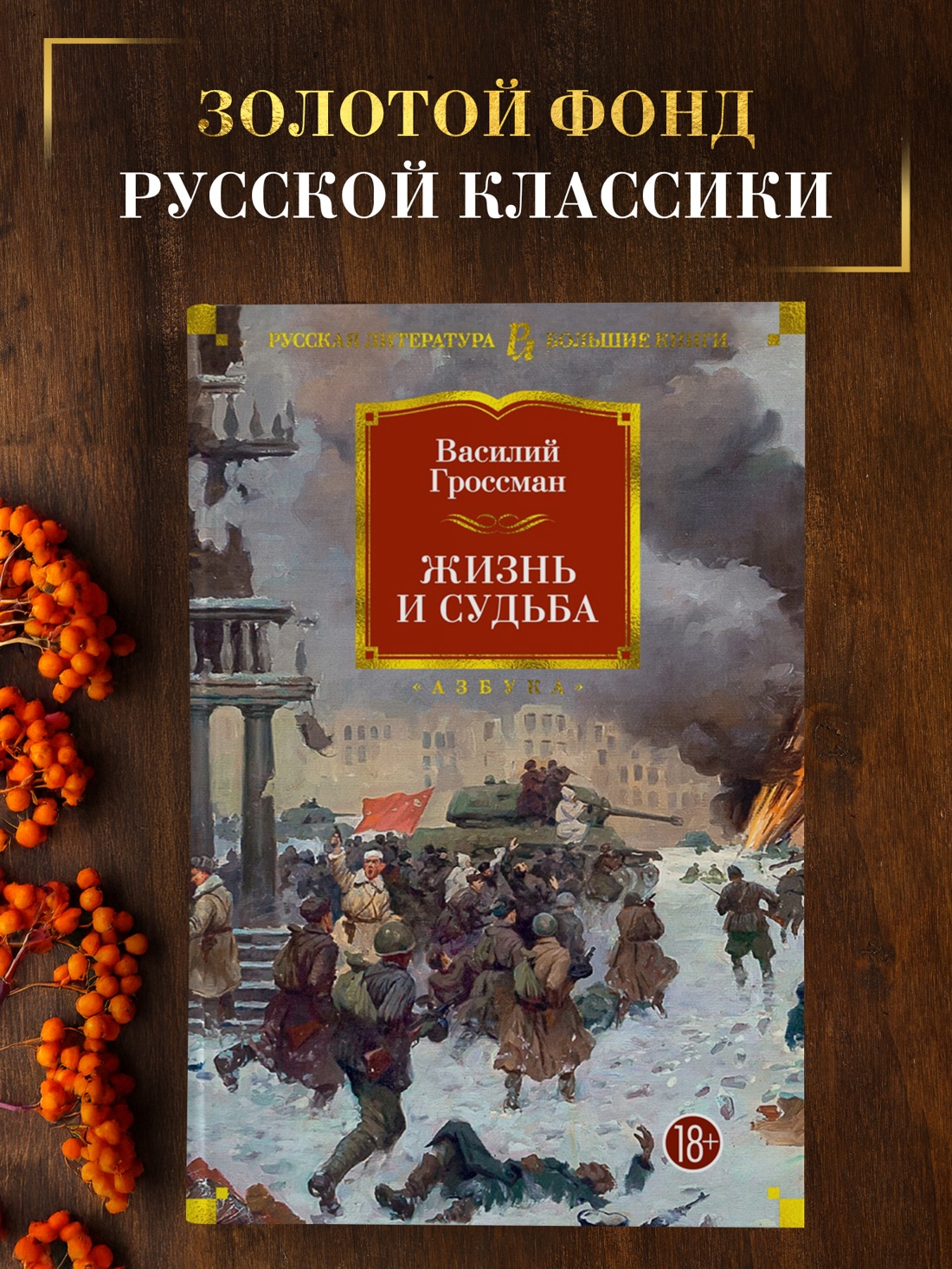 Промо материал к книге "Жизнь и судьба" №0