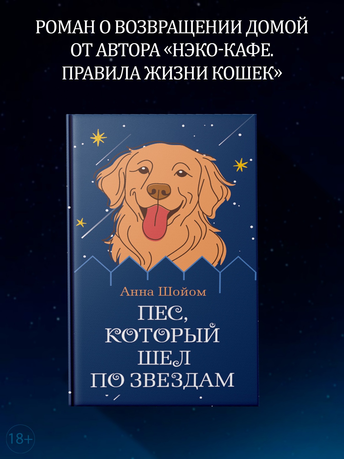 Промо материал к книге "Пес, который шел по звездам" №0