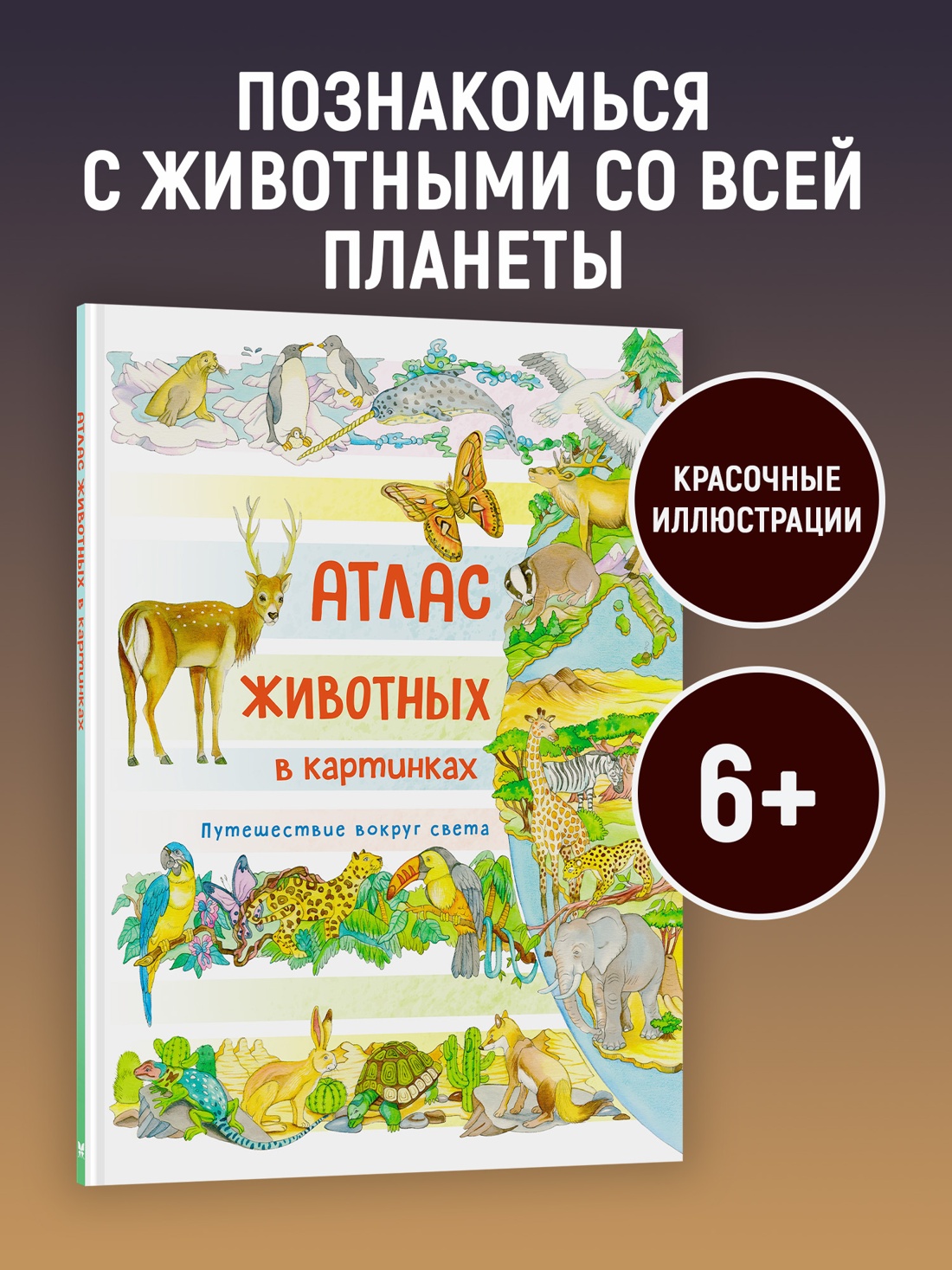 Промо материал к книге "Атлас животных в картинках. Путешествие вокруг света" №0