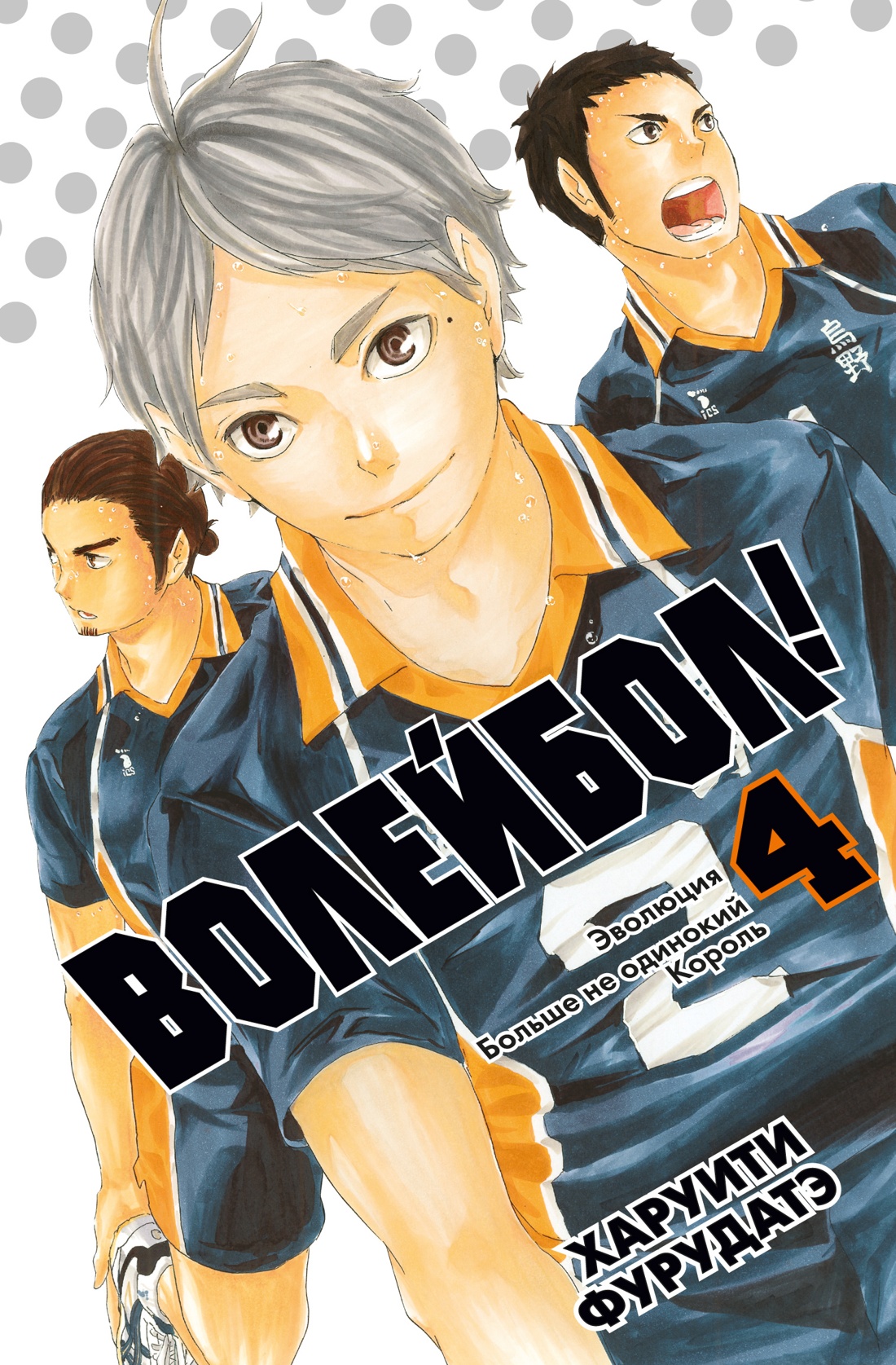 Волейбол! Книга 4. Эволюция. Больше не одинокий Король