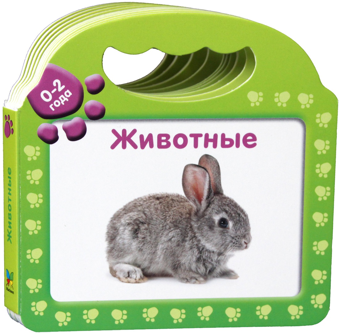 Животные