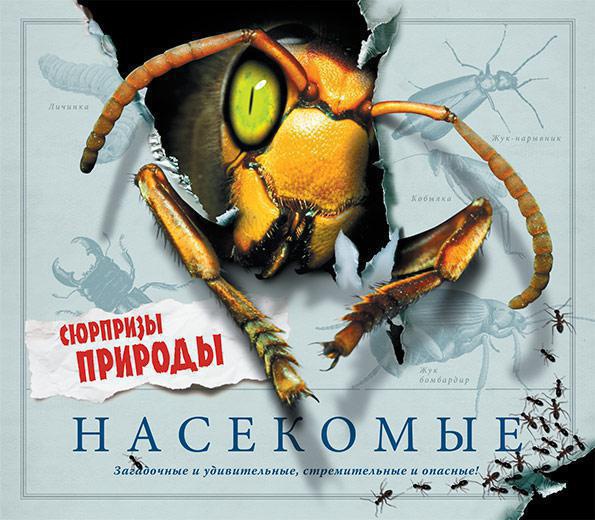 Насекомые. Сюрпризы природы