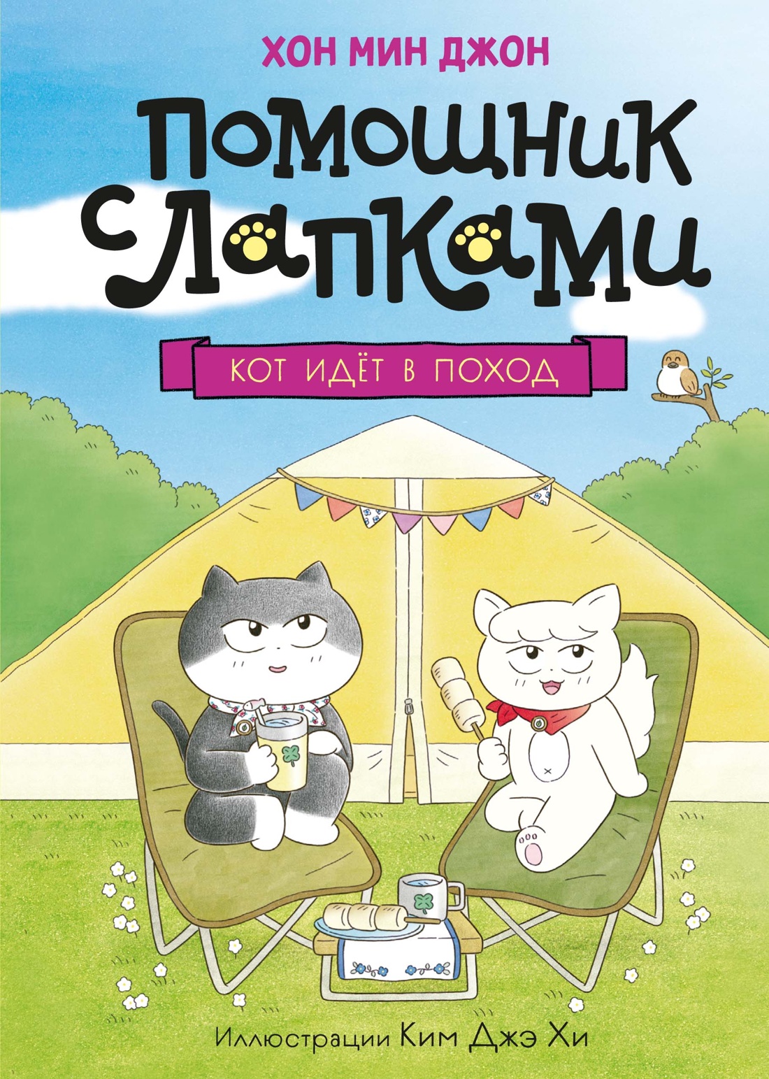 Кот идёт в поход