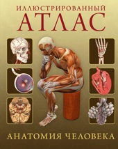 Иллюстрированный атлас. Анатомия человека