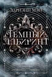 Темный лабиринт. Книга 1