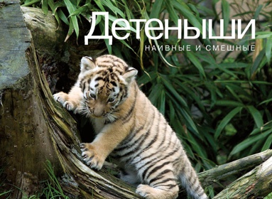 detenyshi-naivnye-i-smeshnye-ml7e