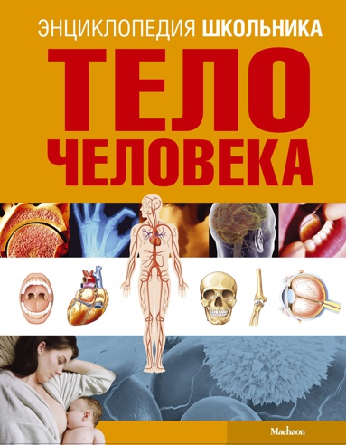telo-cheloveka-orby