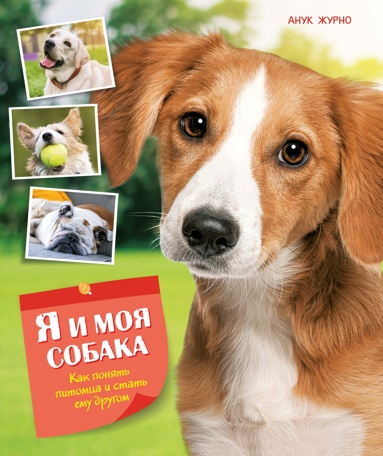 ia-i-moya-sobaka-kak-ponyat-pitomtsa-i-stat-emy-drygom