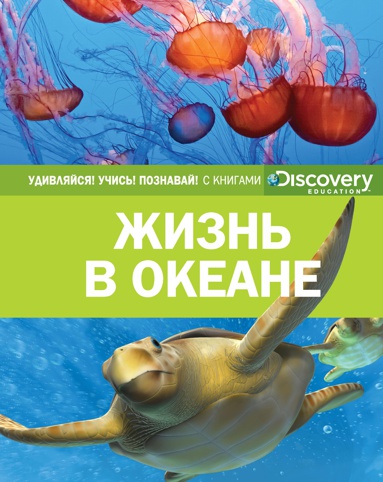 zhizn-v-okeane-p17y