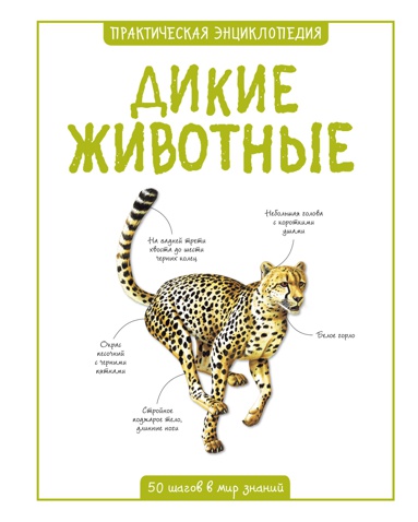 dikie-zhivotnye-tkb0