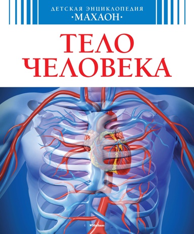 telo-cheloveka-qwmk