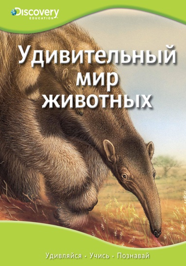udivitelnyy-mir-zhivotnykh-3dbv