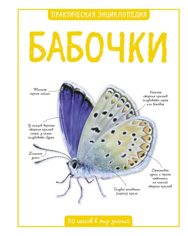 babochki-odep