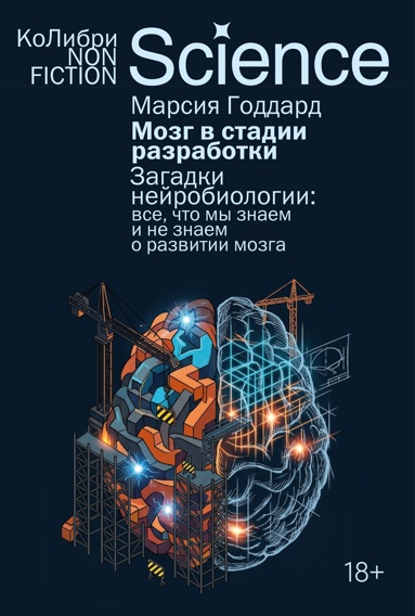 mozg-v-stadii-razrabotki-zagadki-neyrobiologii-vse-chto-my-znaem-i-ne-znaem-o-razvitii-mozga