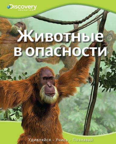 zhivotnye-v-opasnosti-smfj