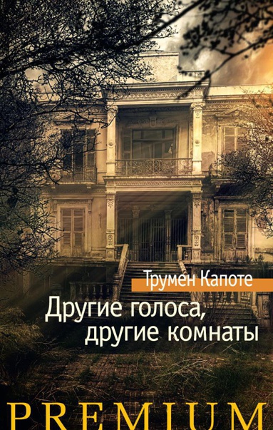 drugie-golosa-drugie-komnaty-lxyq
