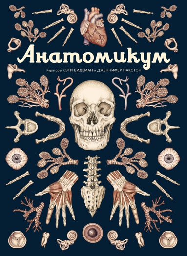 anatomikum-nzib