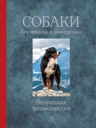 sobaki-bez-povodka-i-namordnika-jrur