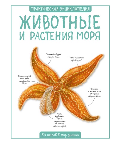 morskie-obitateli-vznu